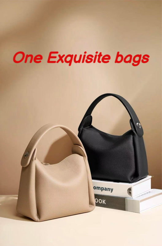 (Only $119) DSMP NEW One Exquisite bags